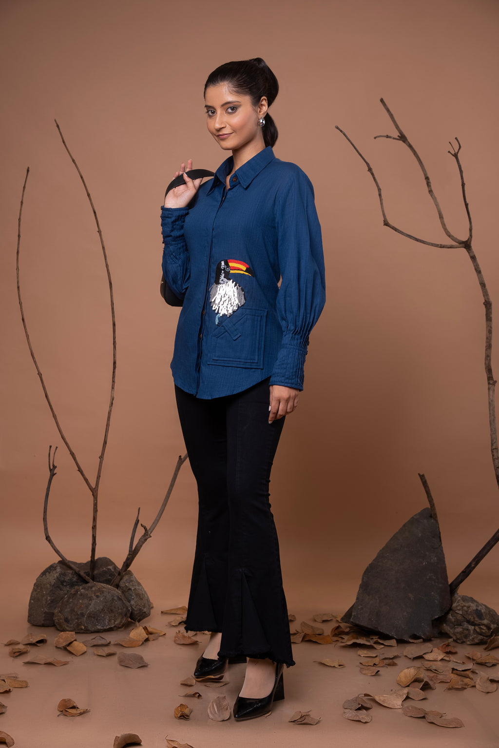 Toucan Bird Series