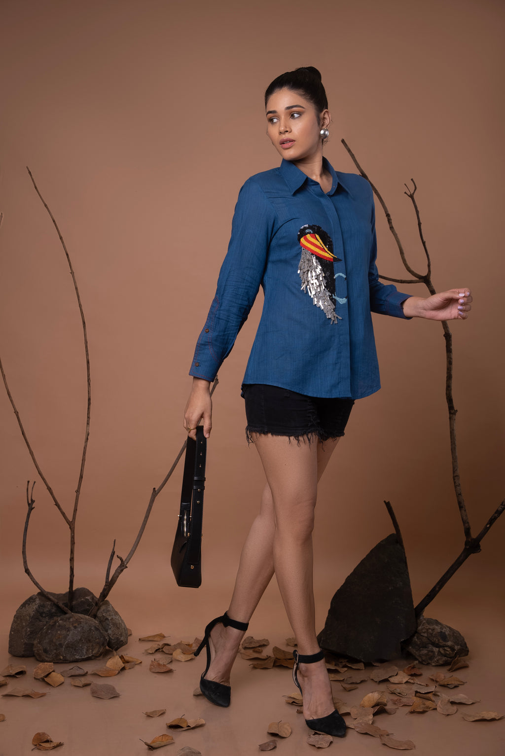 Toucan Bird Series