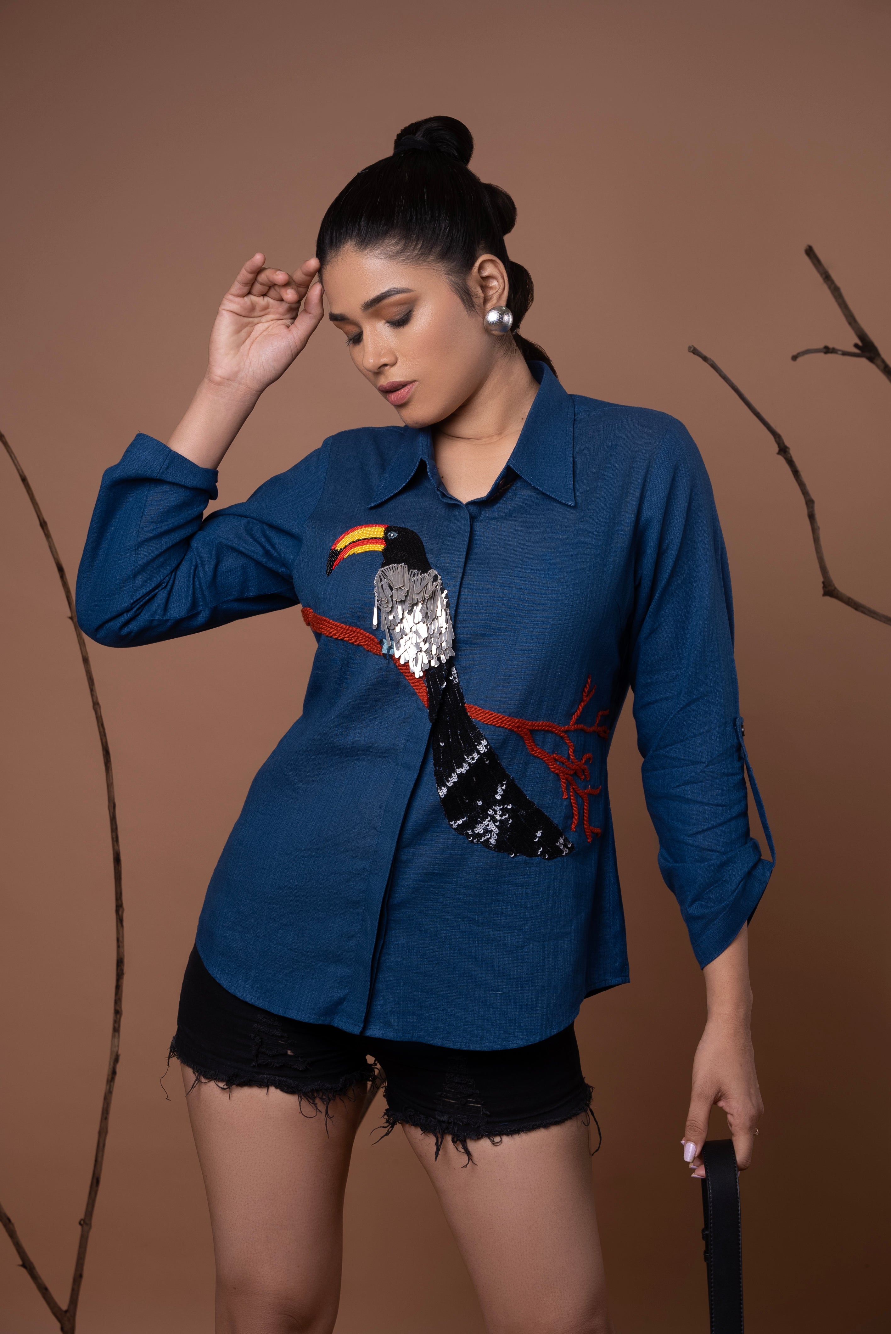 Toucan Bird Series